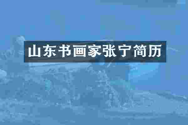 山东书画家张宁简历