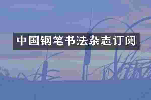 中国钢笔书法杂志订阅