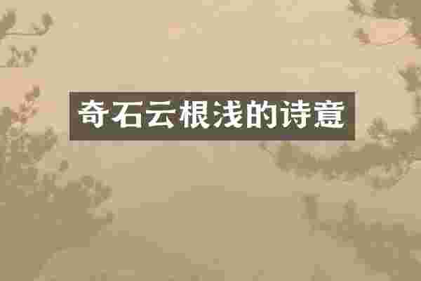 奇石云根浅的诗意