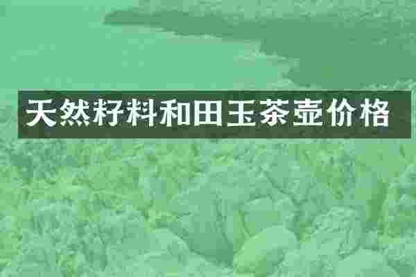 天然籽料和田玉茶壶价格