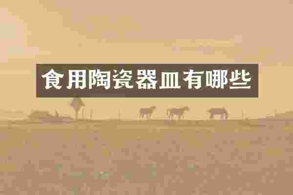 食用陶瓷器皿有哪些