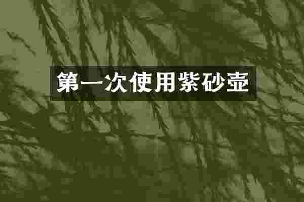 第一次使用紫砂壶