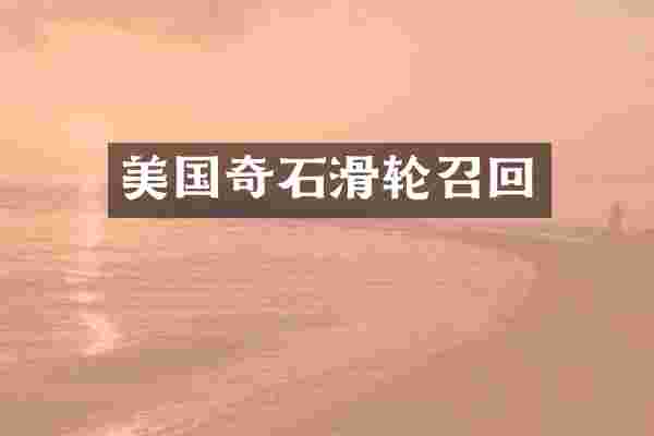 美国奇石滑轮召回