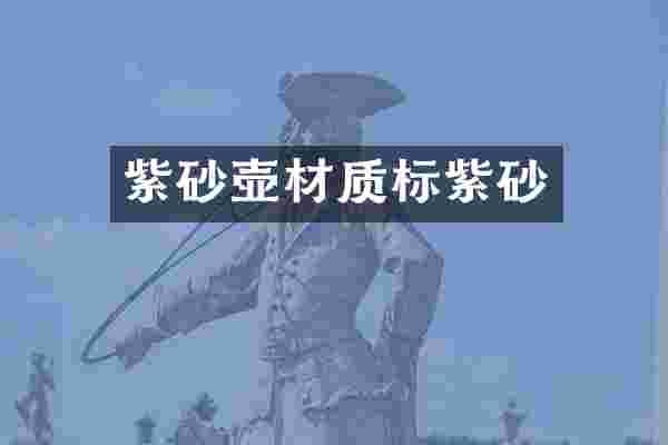 紫砂壶材质标紫砂