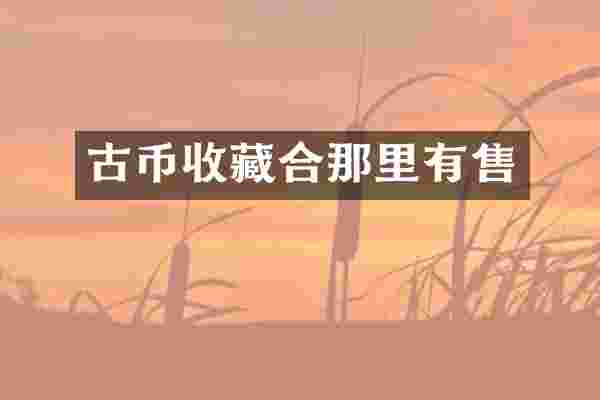 古币收藏合那里有售