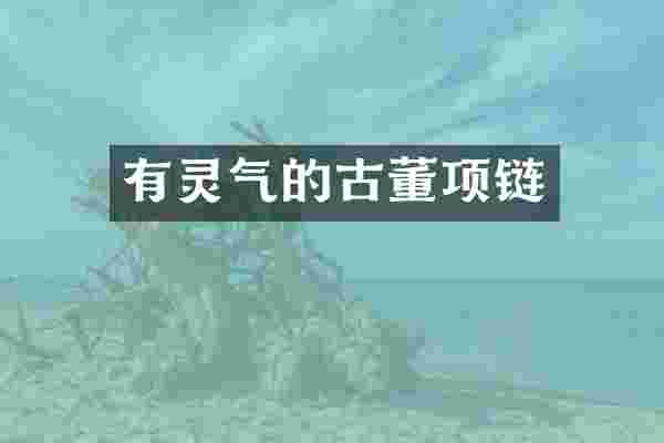 有灵气的古董项链