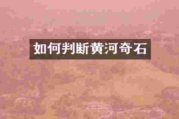 如何判断黄河奇石