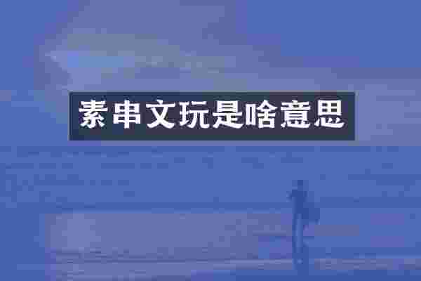 素串文玩是啥意思