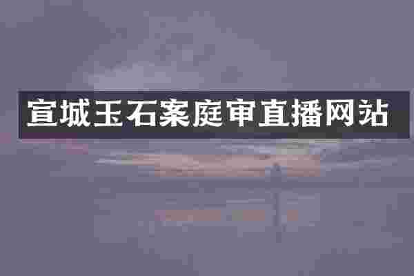 宣城玉石案庭审直播网站