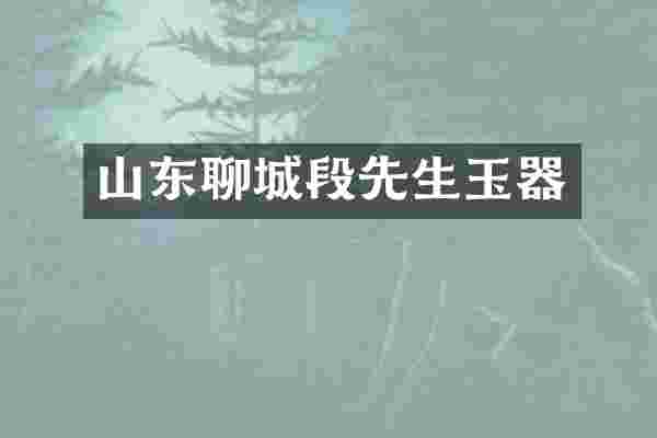 山东聊城段先生玉器
