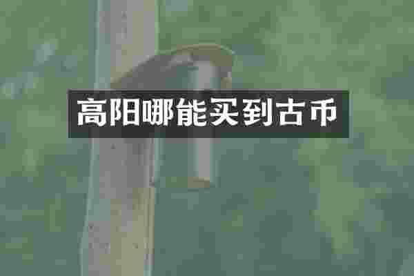 高阳哪能买到古币