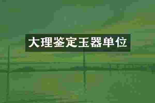 大理鉴定玉器单位