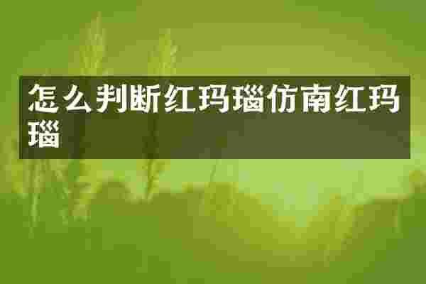 怎么判断红玛瑙仿南红玛瑙