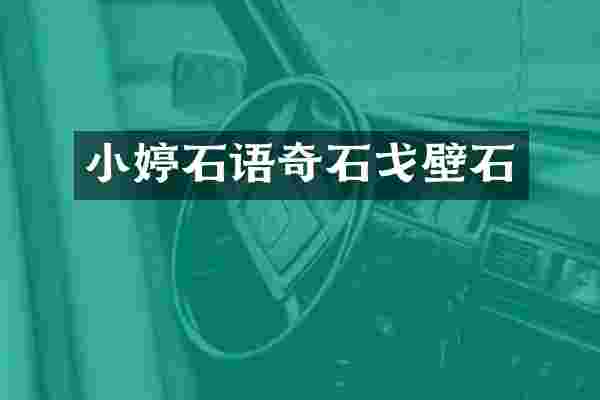 小婷石语奇石戈壁石
