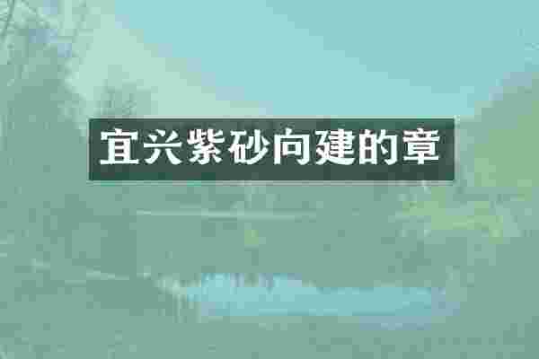 宜兴紫砂向建的章