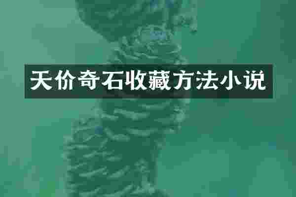 天价奇石收藏方法小说