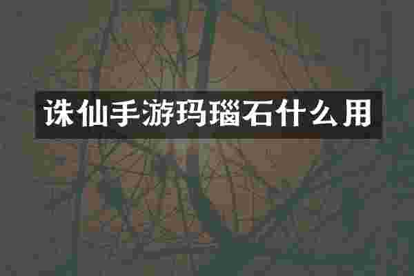诛仙手游玛瑙石什么用