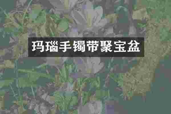 玛瑙手镯带聚宝盆