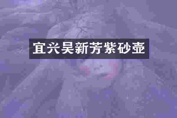 宜兴吴新芳紫砂壶
