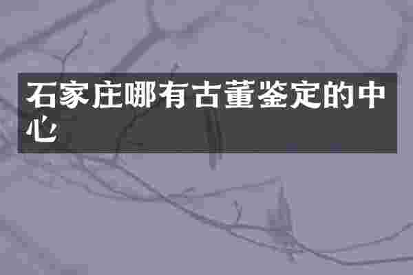 石家庄哪有古董鉴定的中心