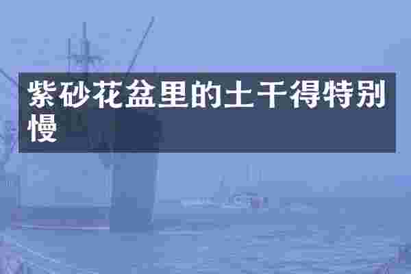 紫砂花盆里的土干得特别慢