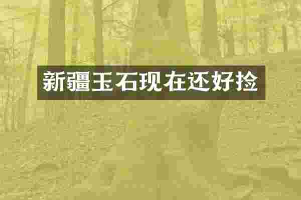 新疆玉石现在还好捡