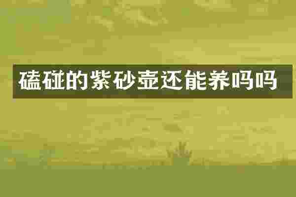 磕碰的紫砂壶还能养吗吗
