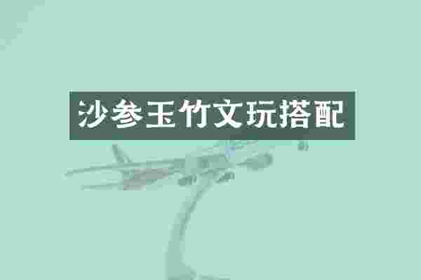 沙参玉竹文玩搭配