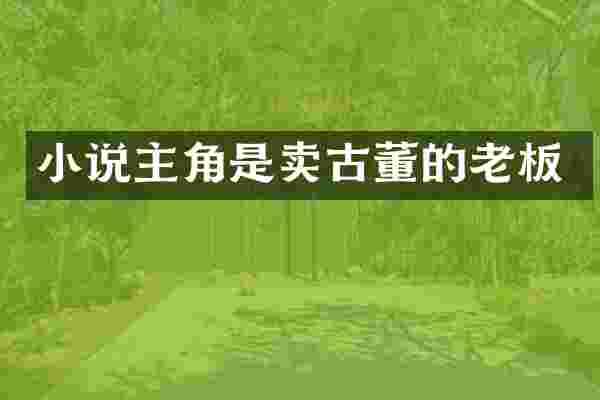 小说主角是卖古董的老板