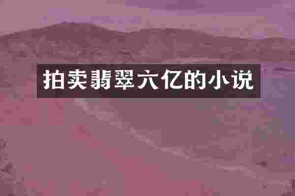 拍卖翡翠六亿的小说
