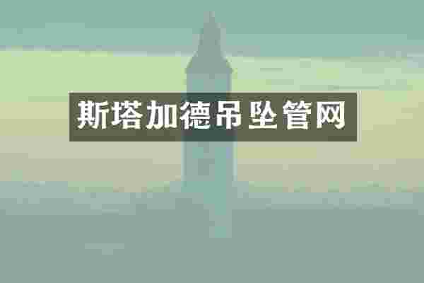 斯塔加德吊坠管网
