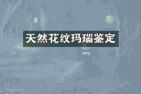 天然花纹玛瑙鉴定