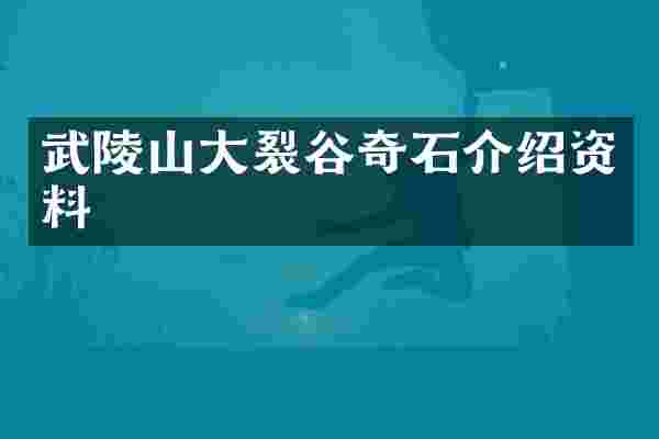 武陵山大裂谷奇石介绍资料