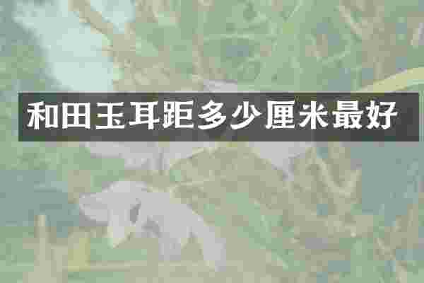和田玉耳距多少厘米最好