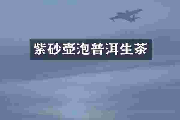 紫砂壶泡普洱生茶
