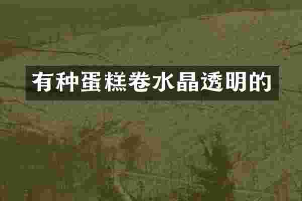 有种蛋糕卷水晶透明的