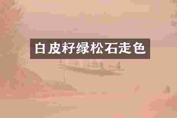 白皮籽绿松石走色