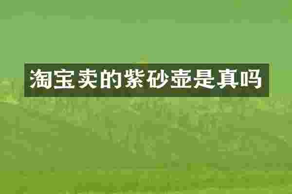 淘宝卖的紫砂壶是真吗