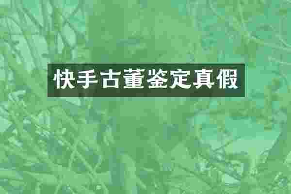 快手古董鉴定真假