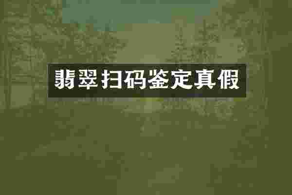 翡翠扫码鉴定真假