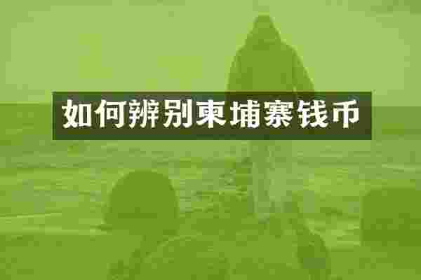 如何辨别柬埔寨钱币