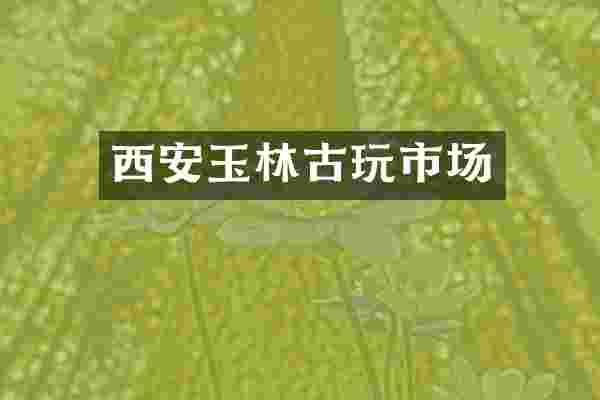 西安玉林古玩市场