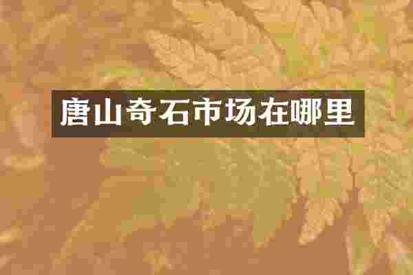 唐山奇石市场在哪里