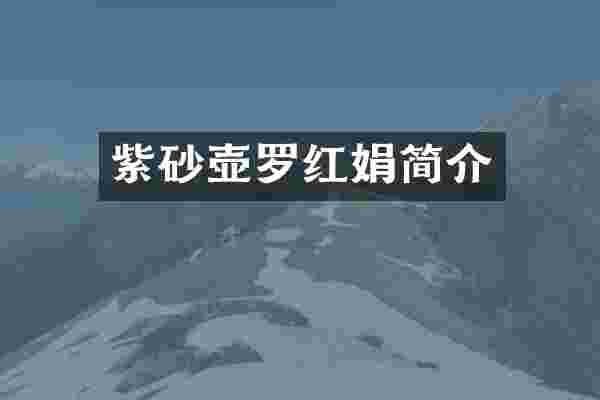 紫砂壶罗红娟简介