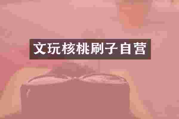 文玩核桃刷子自营