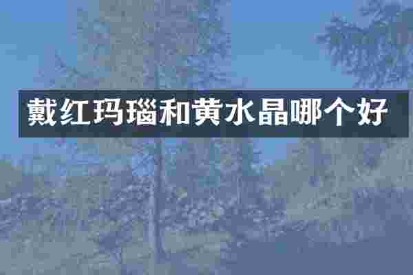 戴红玛瑙和黄水晶哪个好