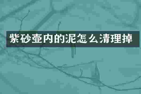 紫砂壶内的泥怎么清理掉