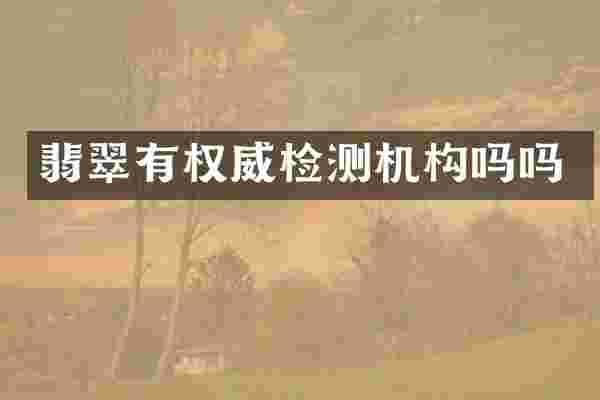 翡翠有权威检测机构吗吗