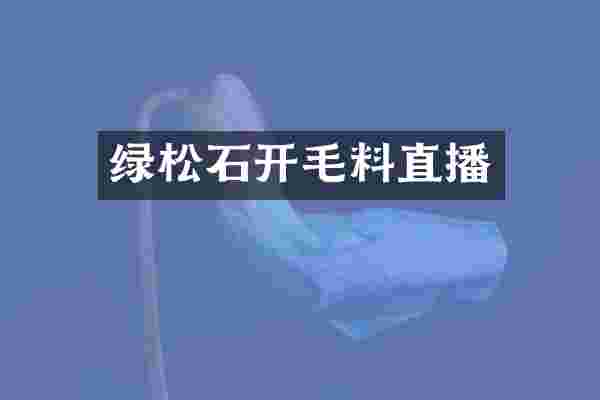 绿松石开毛料直播