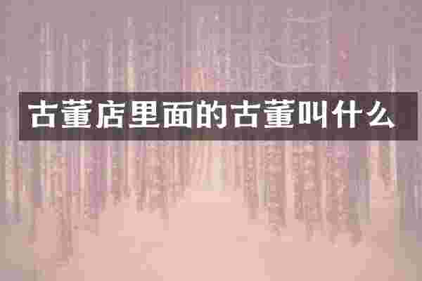 古董店里面的古董叫什么